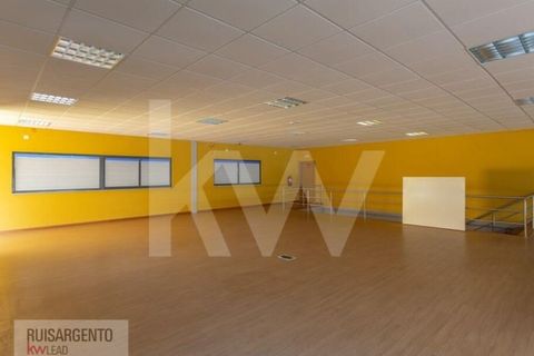 Bungalow i Castelo Branco, Castelo Branco, Castelo Branco - € 1.850.000 | Ref: PAV_133RSKWPT-015594 - foto 32