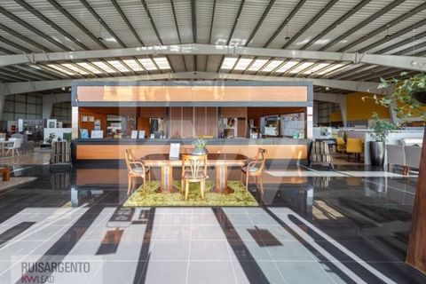Bungalow i Castelo Branco, Castelo Branco, Castelo Branco - € 1.850.000 | Ref: PAV_133RSKWPT-015594 - foto 46