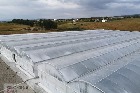Farm i Ladoeiro, Castelo Branco, Ladoeiro - € 1.230.000 | Ref: FIN_2121217-3368 - foto 7