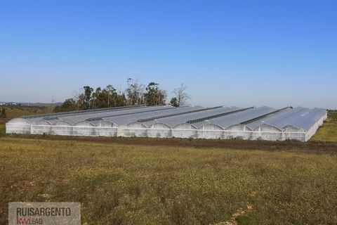 Farm i Ladoeiro, Castelo Branco, Ladoeiro - € 1.230.000 | Ref: FIN_2121217-3368 - foto 11