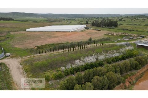 Farm i Ladoeiro, Castelo Branco, Ladoeiro - € 1.230.000 | Ref: FIN_2121217-3368 - foto 12