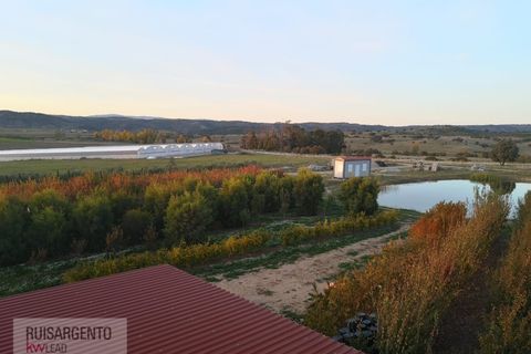 Farm i Ladoeiro, Castelo Branco, Ladoeiro - € 1.230.000 | Ref: FIN_2121217-3368 - foto 14