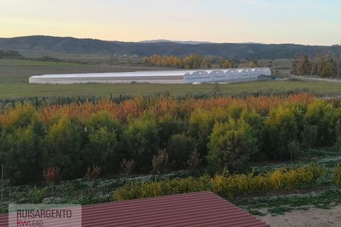 Farm i Ladoeiro, Castelo Branco, Ladoeiro - € 1.230.000 | Ref: FIN_2121217-3368 - foto 9