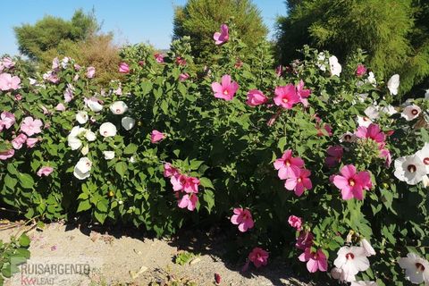 Farm i Ladoeiro, Castelo Branco, Ladoeiro - € 1.230.000 | Ref: FIN_2121217-3368 - foto 23