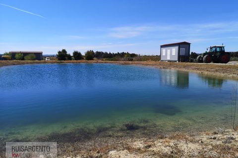 Farm i Ladoeiro, Castelo Branco, Ladoeiro - € 1.230.000 | Ref: FIN_2121217-3368 - foto 24