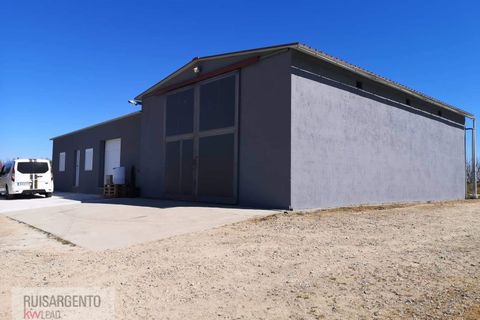 Farm i Ladoeiro, Castelo Branco, Ladoeiro - € 1.230.000 | Ref: FIN_2121217-3368 - foto 28