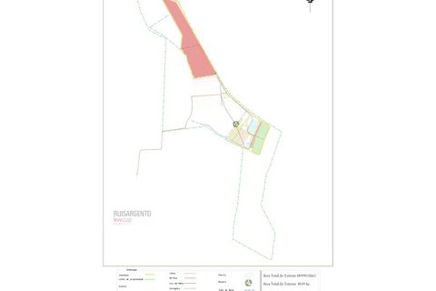 Farm i Ladoeiro, Castelo Branco, Ladoeiro - € 1.230.000 | Ref: FIN_2121217-3368 - foto 32