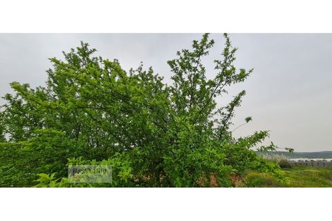 Farm i Ladoeiro, Castelo Branco, Ladoeiro - € 1.230.000 | Ref: FIN_2121217-3368 - foto 50