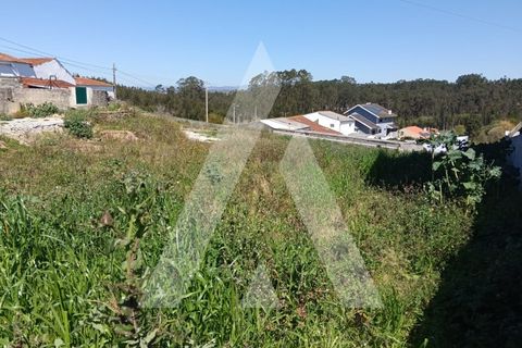 Helårsgrund i Aveiro, Aveiro, Aveiro - € 125.000 | Ref: 1030912/25BL - foto 5