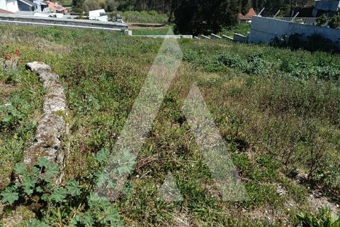 Helårsgrund i Aveiro, Aveiro, Aveiro - € 125.000 | Ref: 1030912/25BL - foto 8