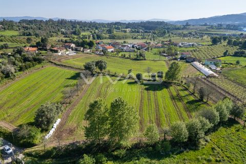 Helårsgrund i Vila Verde, Braga, Vila Verde - € 42.500 | Ref: 01-3600 - foto 2
