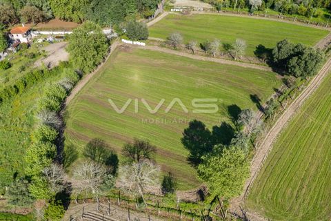 Helårsgrund i Vila Verde, Braga, Vila Verde - € 42.500 | Ref: 01-3600 - foto 3