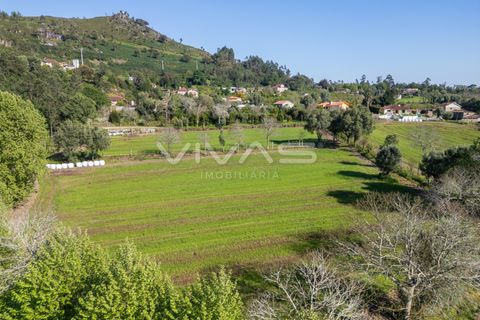 Helårsgrund i Vila Verde, Braga, Vila Verde - € 42.500 | Ref: 01-3600 - foto 6