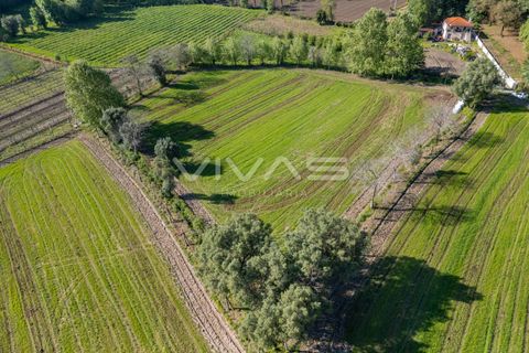 Helårsgrund i Vila Verde, Braga, Vila Verde - € 42.500 | Ref: 01-3600 - foto 7