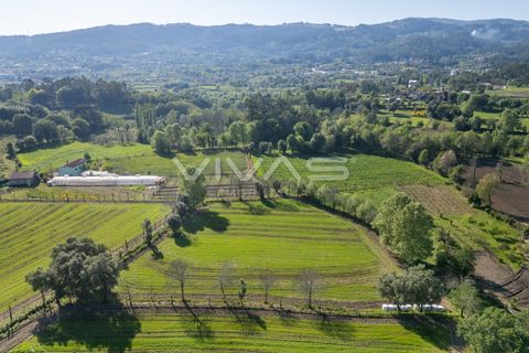 Helårsgrund i Vila Verde, Braga, Vila Verde - € 42.500 | Ref: 01-3600 - foto 8
