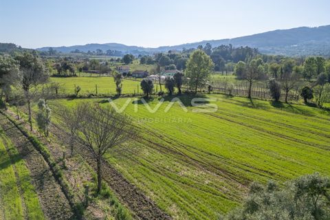 Helårsgrund i Vila Verde, Braga, Vila Verde - € 42.500 | Ref: 01-3600 - foto 12