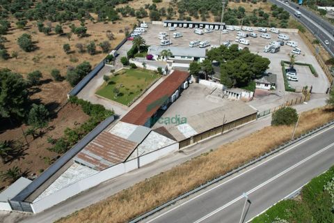 Erhvervsejendom i Bari, Bari, Bari - € 1.590.000 | Ref: 11948/2025 - foto 2