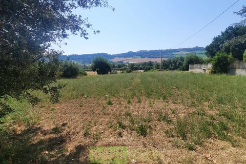 Terra a Altidona, Fermo, Altidona - € 95.000 | Ref: 114907 - foto 2