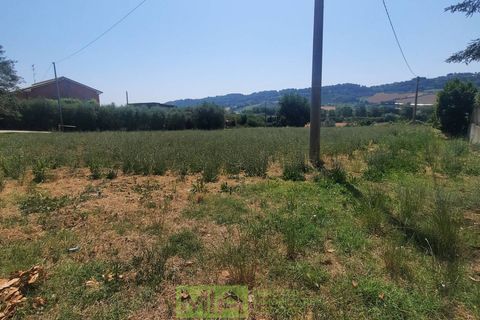 Terra a Altidona, Fermo, Altidona - € 95.000 | Ref: 114907 - foto 3