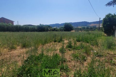 Terra a Altidona, Fermo, Altidona - € 95.000 | Ref: 114907 - foto 4