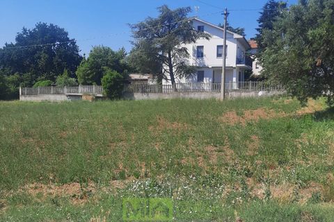 Terra a Altidona, Fermo, Altidona - € 95.000 | Ref: 114907 - foto 6