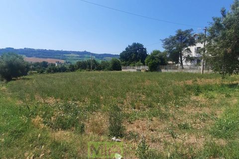 Terra a Altidona, Fermo, Altidona - € 95.000 | Ref: 114907 - foto 7