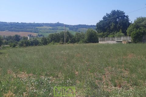 Terra a Altidona, Fermo, Altidona - € 95.000 | Ref: 114907 - foto 8