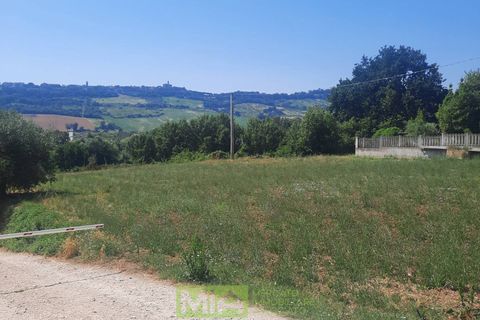 Terra a Altidona, Fermo, Altidona - € 95.000 | Ref: 114907 - foto 10