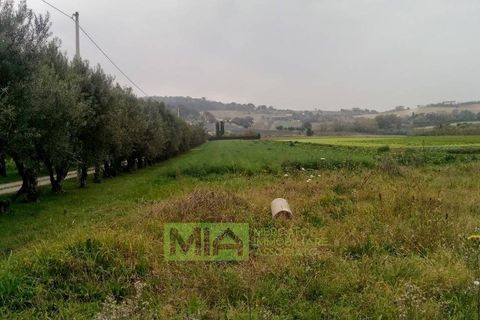 Terra a Altidona, Fermo, Altidona - € 95.000 | Ref: 114907 - foto 15