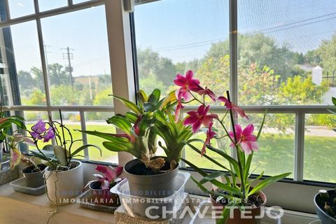 Villa i Tomar, Santarem, Tomar - € 499.000 | Ref: 531/25 - foto 19