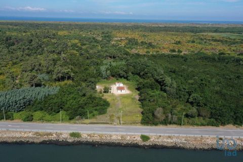 Byhus i Murtosa, Aveiro, Murtosa - € 345.000 | Ref: 118105 - foto 1