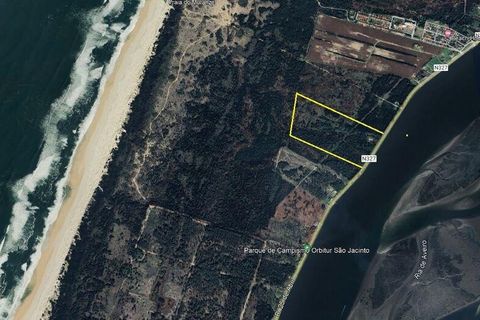 Byhus i Murtosa, Aveiro, Murtosa - € 345.000 | Ref: 118105 - foto 2