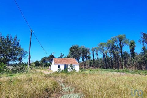 Byhus i Murtosa, Aveiro, Murtosa - € 345.000 | Ref: 118105 - foto 3