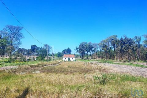 Byhus i Murtosa, Aveiro, Murtosa - € 345.000 | Ref: 118105 - foto 4