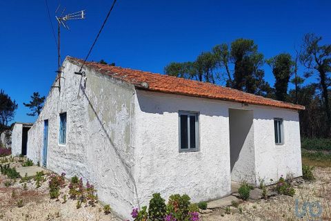 Byhus i Murtosa, Aveiro, Murtosa - € 345.000 | Ref: 118105 - foto 6