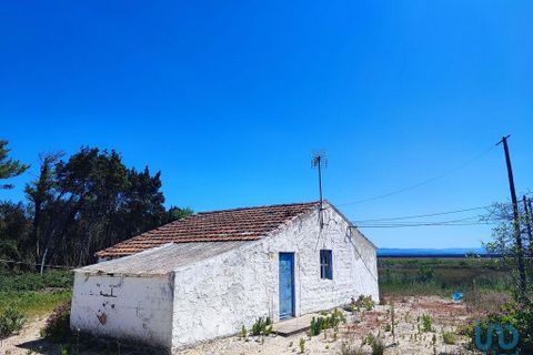 Byhus i Murtosa, Aveiro, Murtosa - € 345.000 | Ref: 118105 - foto 7