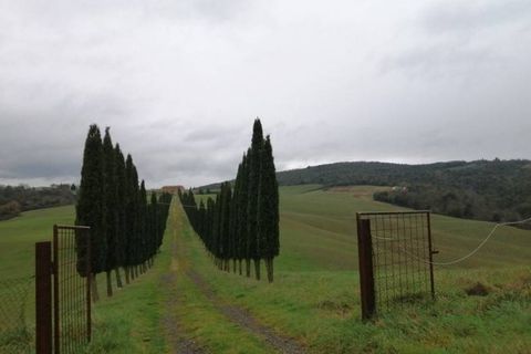 Farm hus i Murlo, Siena, Murlo - € 2.250.000 | Ref: a6380ta2178306a - foto 2