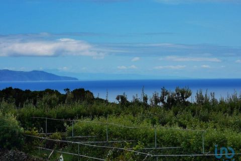 Byhus i Lajes do Pico, Pico, Lajes do Pico - € 89.400 | Ref: 101504 - foto 5