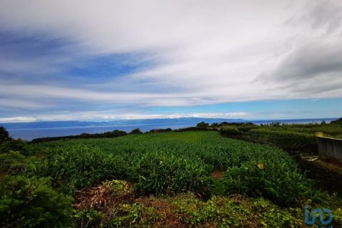 Byhus i Lajes do Pico, Pico, Lajes do Pico - € 89.400 | Ref: 101504 - foto 7
