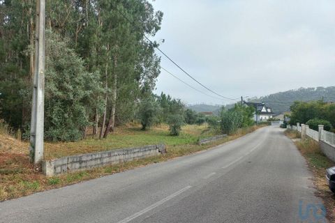 Terra a Leiria, Leiria, Leiria - € 55.000 | Ref: 144376 - foto 4