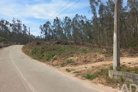 Terra a Leiria, Leiria, Leiria - € 55.000 | Ref: 144376 - foto 2
