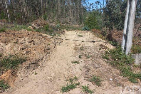 Terra a Leiria, Leiria, Leiria - € 55.000 | Ref: 144376 - foto 5