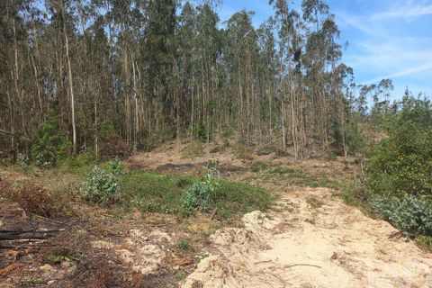 Terra a Leiria, Leiria, Leiria - € 55.000 | Ref: 144376 - foto 6