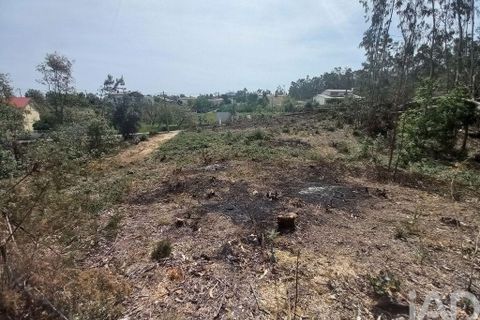 Terra a Leiria, Leiria, Leiria - € 55.000 | Ref: 144376 - foto 7