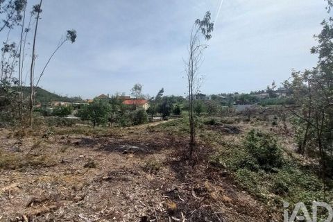 Terra a Leiria, Leiria, Leiria - € 55.000 | Ref: 144376 - foto 8