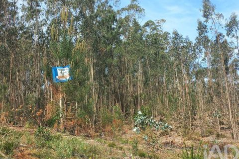 Terra a Leiria, Leiria, Leiria - € 55.000 | Ref: 144376 - foto 9