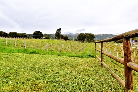 Landejendom i Berchidda, Sassari, Berchidda - € 170.000 | Ref: SI-BH0011 - foto 7