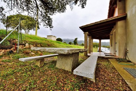 Landejendom i Berchidda, Sassari, Berchidda - € 170.000 | Ref: SI-BH0011 - foto 5