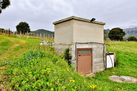 Landejendom i Berchidda, Sassari, Berchidda - € 170.000 | Ref: SI-BH0011 - foto 9