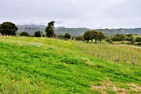 Landejendom i Berchidda, Sassari, Berchidda - € 170.000 | Ref: SI-BH0011 - foto 3